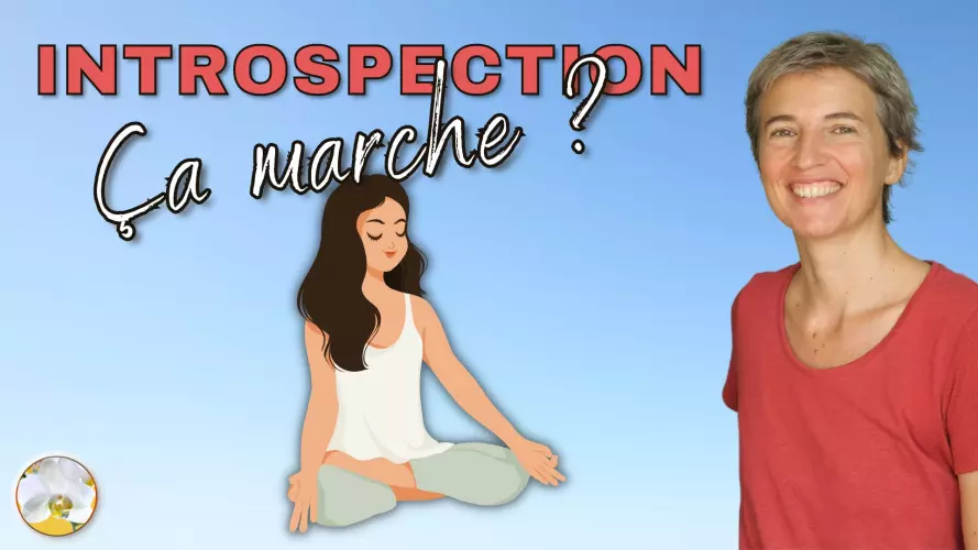 introspection pourquoi efficace ça marche