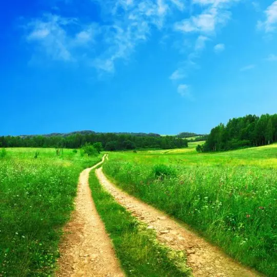 thérapie psychocorporelle holistique Ardèche téléconsultations à distance Karine Lépouchard