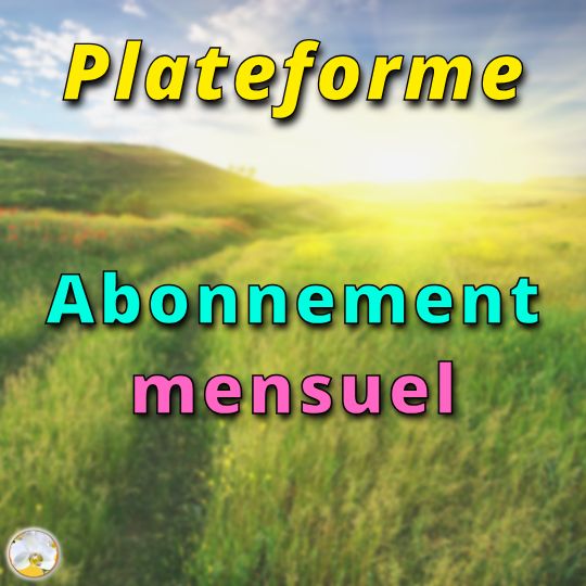 plateforme en ligne,abonnement
