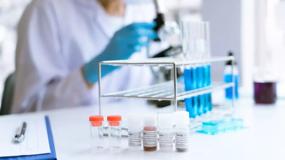 hygiénisme pas de diagnostic naturopathie holistique